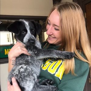 Meet your Posher, Ariel